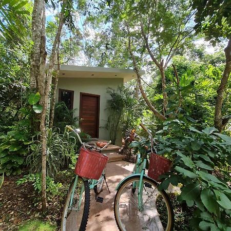 Secret Gardens Bacalar Suite 02 Con Alberca Y Bicicletas Exterior photo