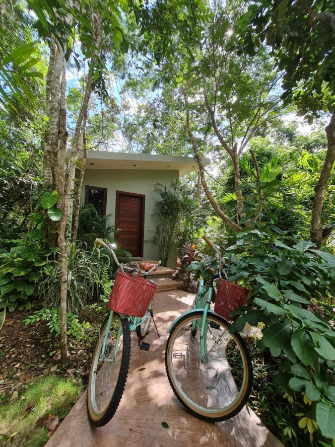 Secret Gardens Bacalar Suite 02 Con Alberca Y Bicicletas Exterior photo