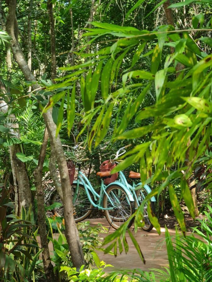 Secret Gardens Bacalar Suite 02 Con Alberca Y Bicicletas Exterior photo