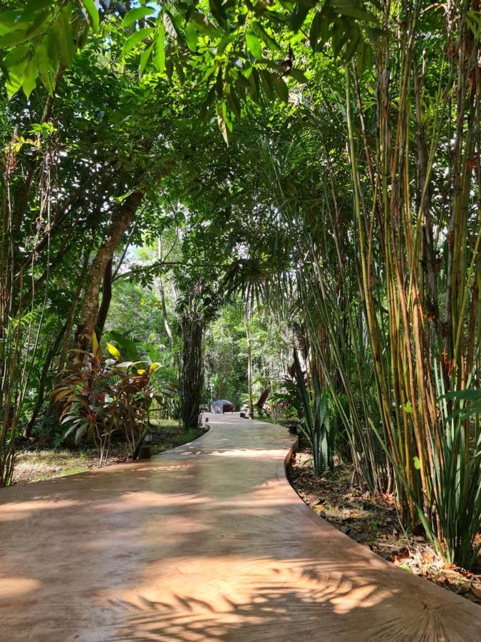 Secret Gardens Bacalar Suite 02 Con Alberca Y Bicicletas Exterior photo