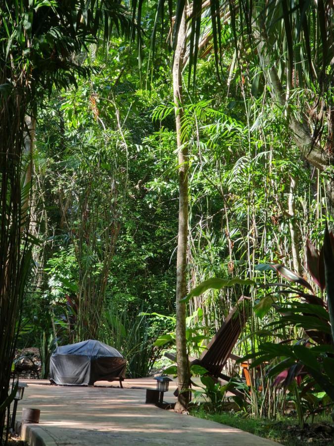 Secret Gardens Bacalar Suite 02 Con Alberca Y Bicicletas Exterior photo