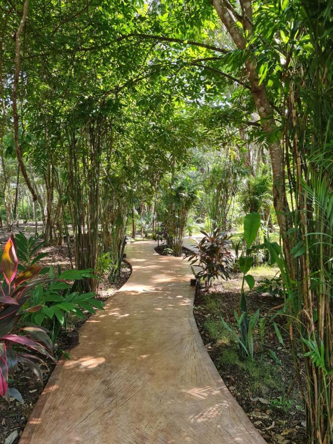 Secret Gardens Bacalar Suite 02 Con Alberca Y Bicicletas Exterior photo