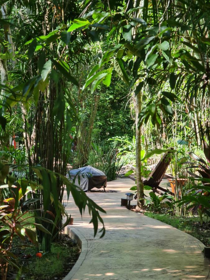 Secret Gardens Bacalar Suite 02 Con Alberca Y Bicicletas Exterior photo