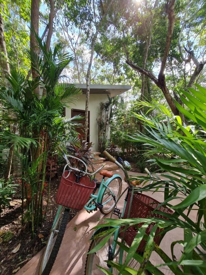 Secret Gardens Bacalar Suite 02 Con Alberca Y Bicicletas Exterior photo