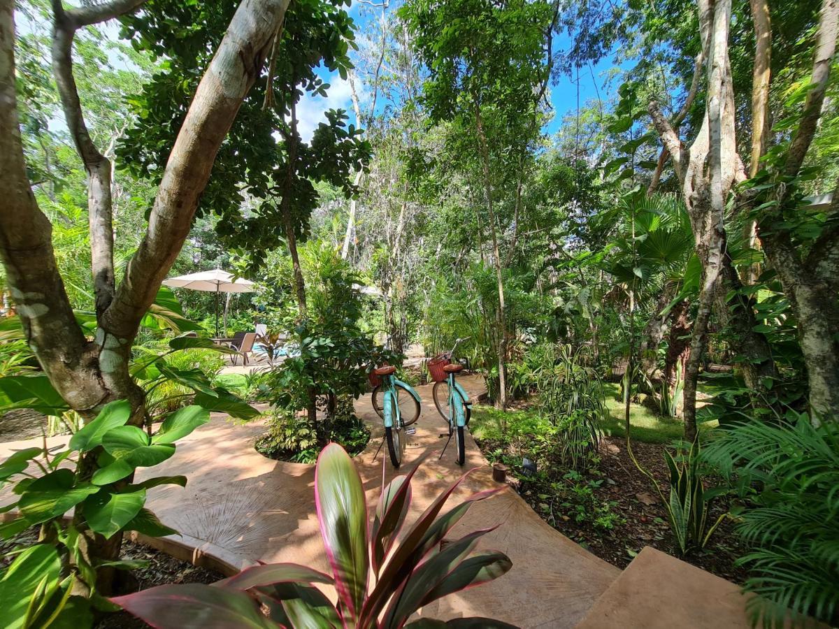 Secret Gardens Bacalar Suite 02 Con Alberca Y Bicicletas Exterior photo