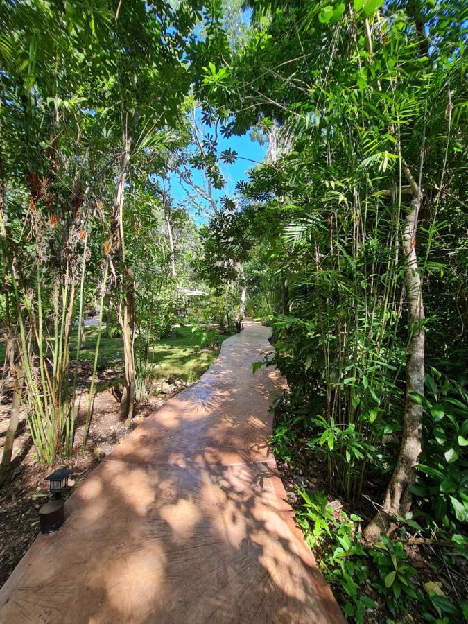 Secret Gardens Bacalar Suite 02 Con Alberca Y Bicicletas Exterior photo