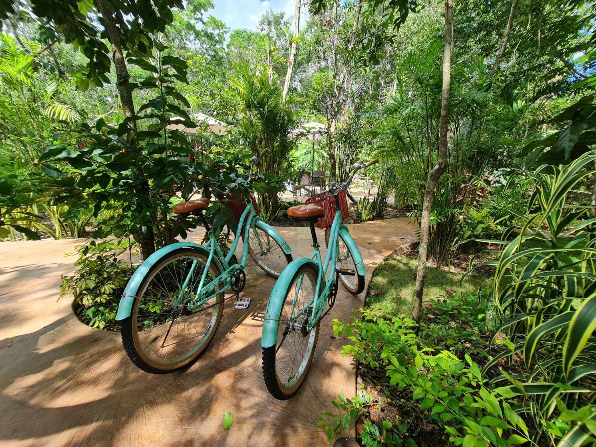 Secret Gardens Bacalar Suite 02 Con Alberca Y Bicicletas Exterior photo