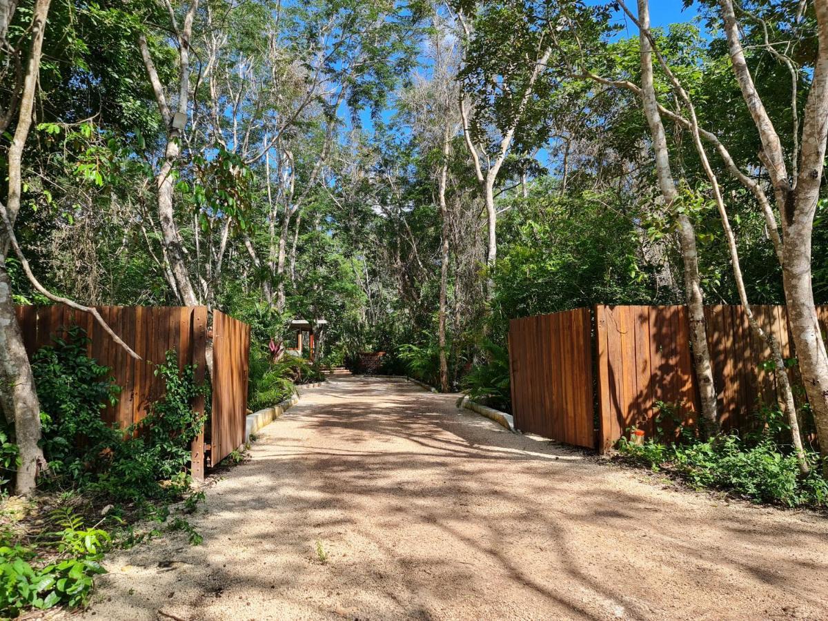 Secret Gardens Bacalar Suite 02 Con Alberca Y Bicicletas Exterior photo