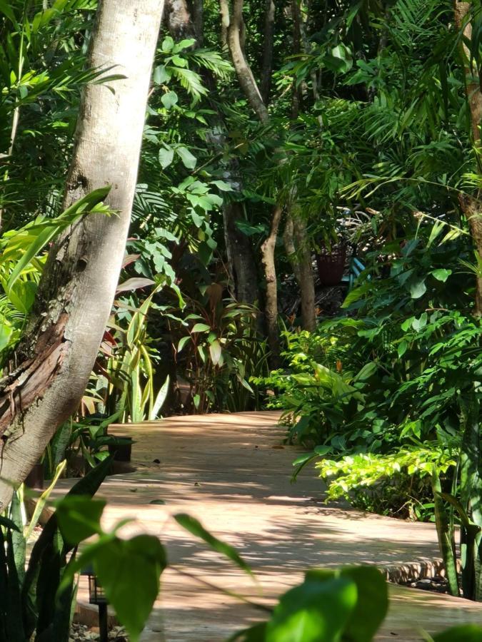 Secret Gardens Bacalar Suite 02 Con Alberca Y Bicicletas Exterior photo