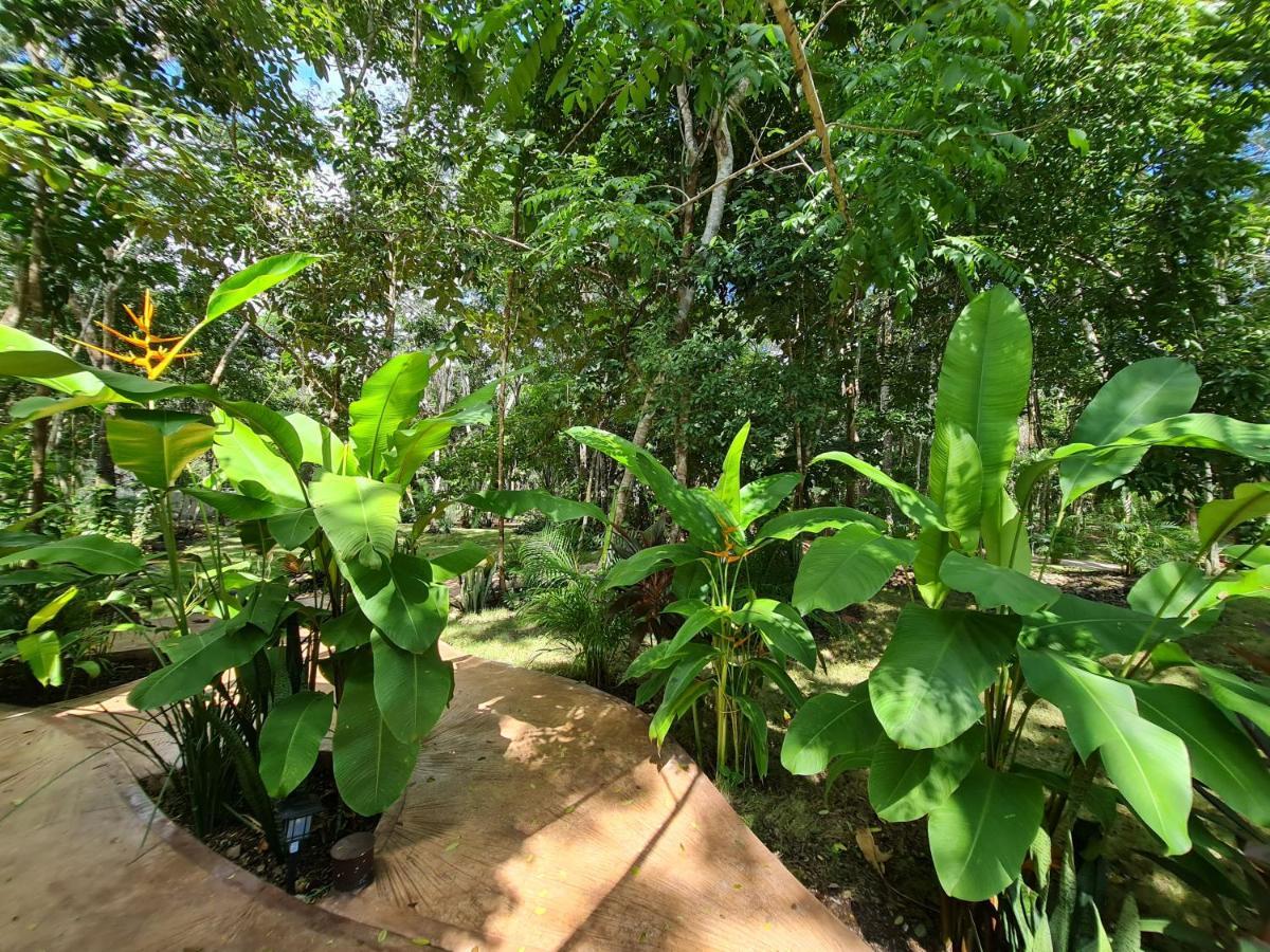 Secret Gardens Bacalar Suite 02 Con Alberca Y Bicicletas Exterior photo