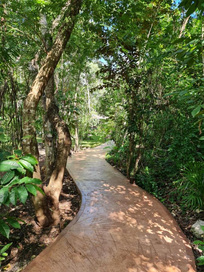 Secret Gardens Bacalar Suite 02 Con Alberca Y Bicicletas Exterior photo