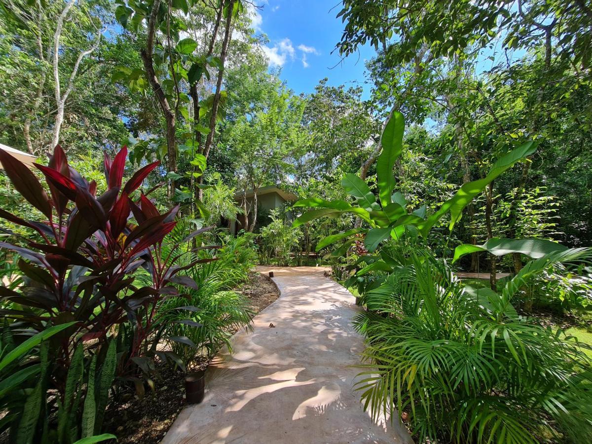 Secret Gardens Bacalar Suite 02 Con Alberca Y Bicicletas Exterior photo